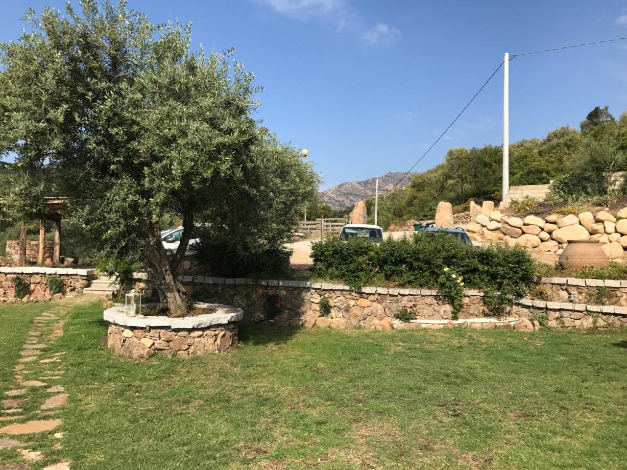 Il Giardino Di Daniela Apartments San Teodoro  Extérieur photo